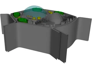 Plant Cell 3D Model preview