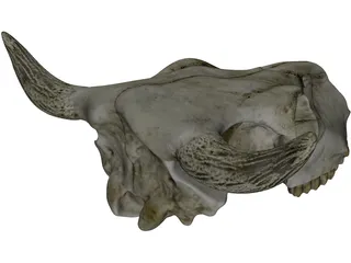 Cow Skull 3D Model preview