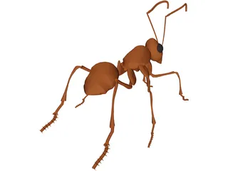 Ant 3D Model preview