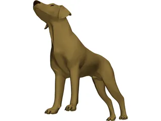 Dog Braco 3D Model preview