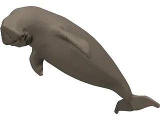 Dudongo 3D Model preview