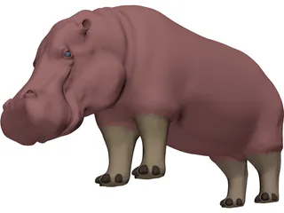 Hippopotamus 3D Model preview