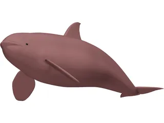 Whale Killer Female 3D Model preview