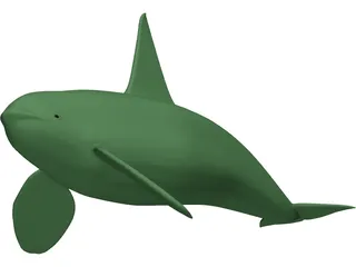 Whale Killer Male 3D Model preview