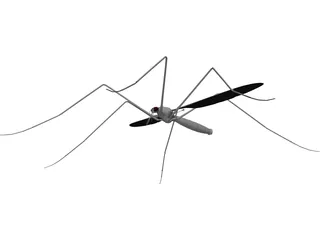 Mosquito 3D Model preview