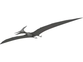 Pteranodon Ingens 3D Model preview