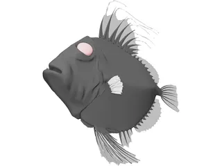 San Peters Fish 3D Model preview