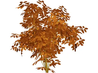 Cherry Tree 3D Model preview