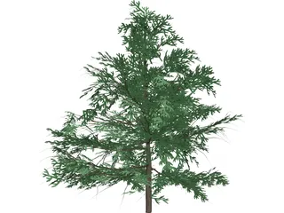 False Golden Larch 3D Model preview
