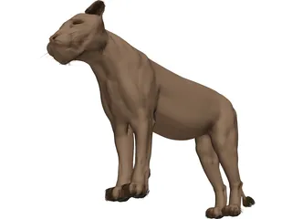 Lioness 3D Model preview