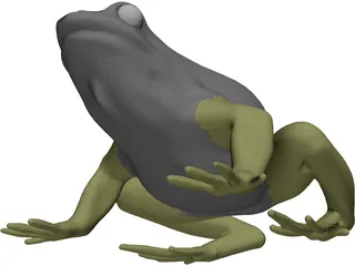 Frog 3D Model preview