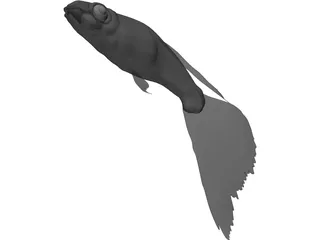 Guppy 3D Model preview