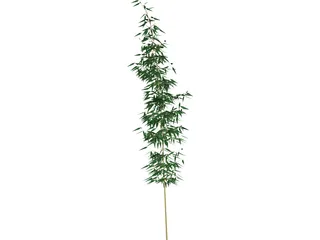 Bamboa 3D Model preview