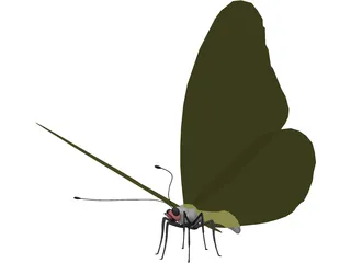 Butterfly 3D Model preview