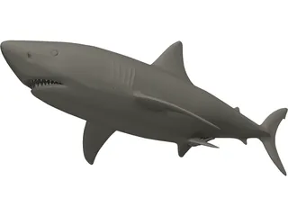 Shark White Male 3D Model preview