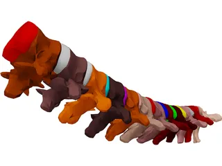 Vertebrae Thoracic 3D Model preview