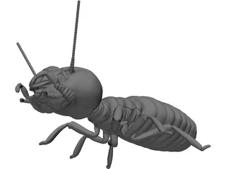 Termite 3D Model preview