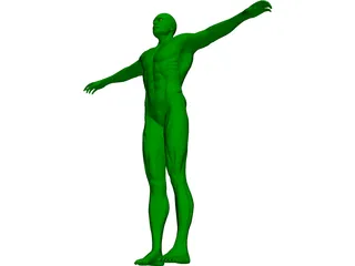 Swimmer 3D Model preview