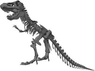 Tyrannosaurus Rex Skeleton 3D Model preview