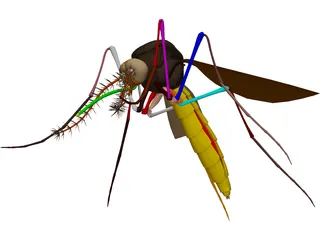 Mosquito 3D Model preview