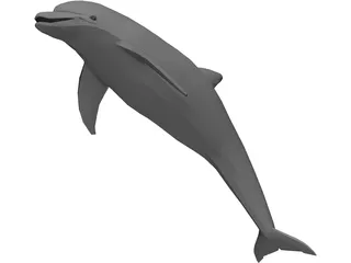 Dolphin 3D Model preview