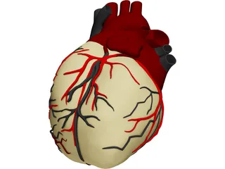 Heart with Internal Parts 3D Model preview