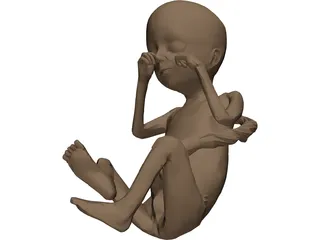 Fetus 3D Model preview