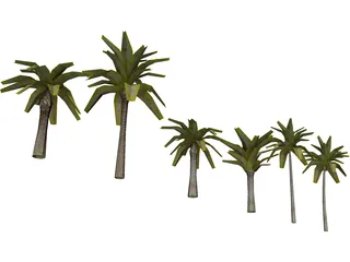 Palm Collection 3D Model preview