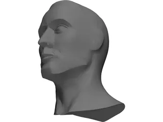 Head Male 3D Model preview