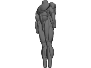 Muscles Body 3D Model preview