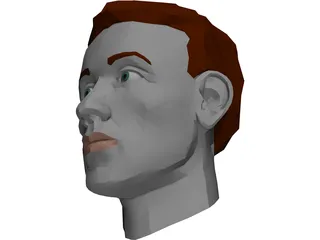 Face Muscles And Head 3D Model preview