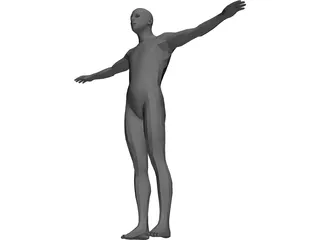 Human Body Male 3D Model preview