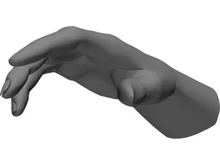 Hand Male 3D Model preview