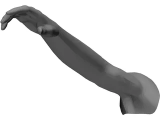 Arm Male 3D Model preview