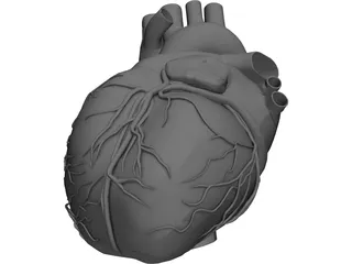 Heart 3D Model preview