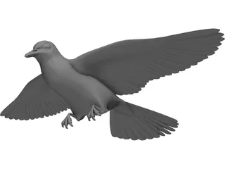 Dove 3D Model preview