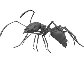 Ant 3D Model preview
