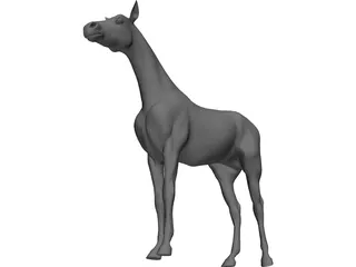 Horse 3D Model preview