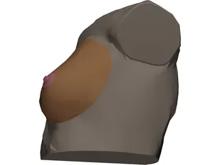 Breast 3D Model preview