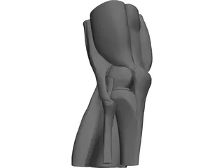 Knee 3D Model preview