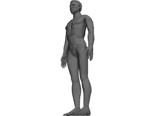 Man 3D Model preview