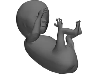 Baby Fetus Infant 3D Model preview