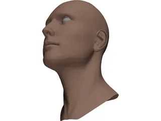 Head Male 3D Model preview