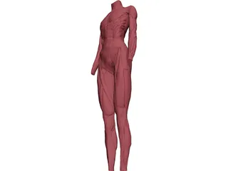 Surface Muscles 3D Model preview