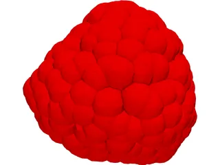 Raspberry 3D Model preview