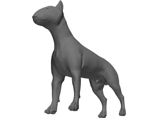 Dog Bull Terrier 3D Model preview