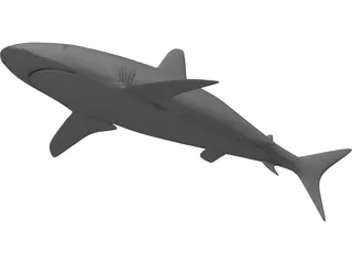 Shark 3D Model preview