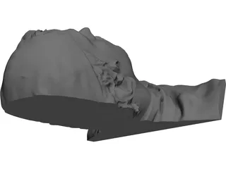Face Human Digitalized 3D Model preview