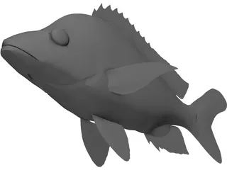 John Dory Type Fish 3D Model preview