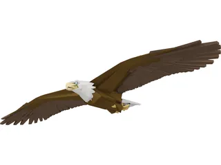 Bald Eagle 3D Model preview